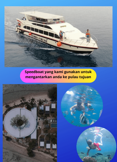 Screenshot 2025-10-26 002028