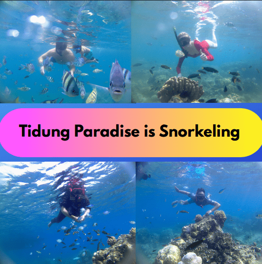 Screenshot 2025-10-26 002410